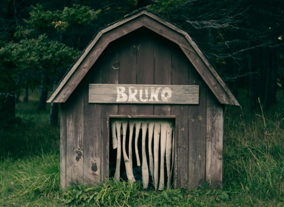 Purse Snatcher Hides In Dog House