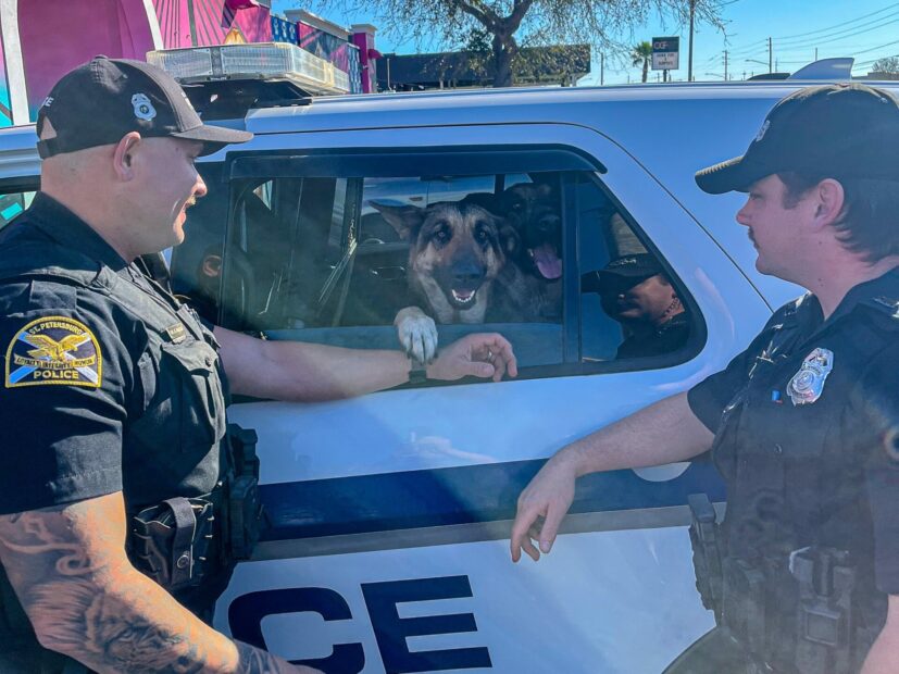 Carjacked By German Shepherds