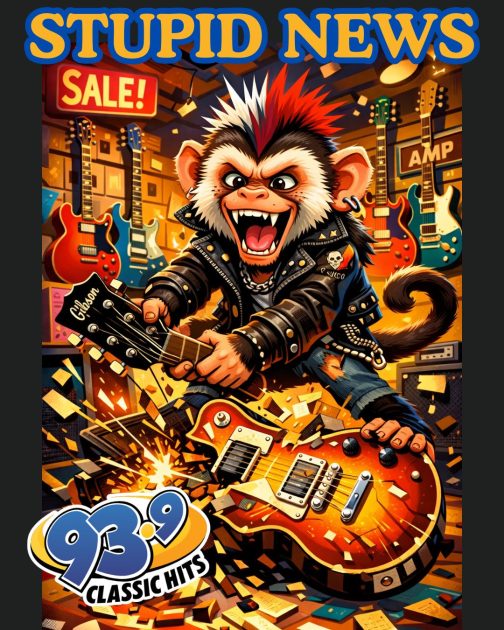 Monkey Wrecks A Music Shop