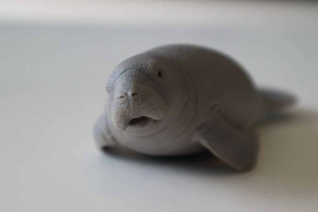Man Molests Manatee Mannequin