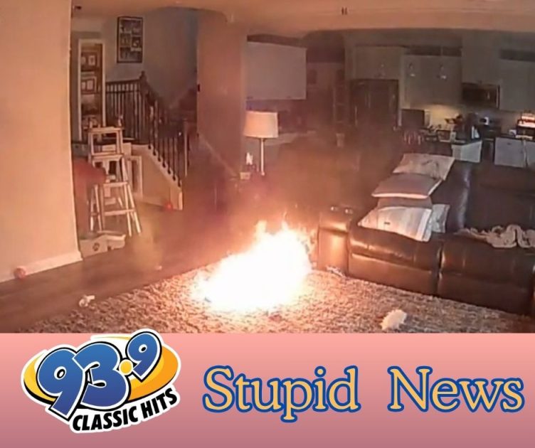 Firefighter’s Dog Sparks House Fire Chewing On Battery