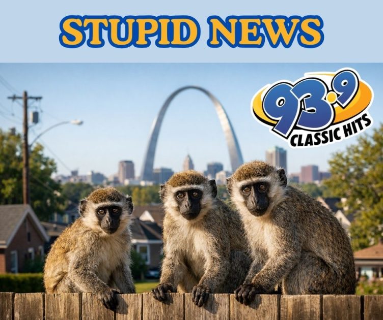 Search For Monkeys In St. Louis Hampered by Fake AI Posts