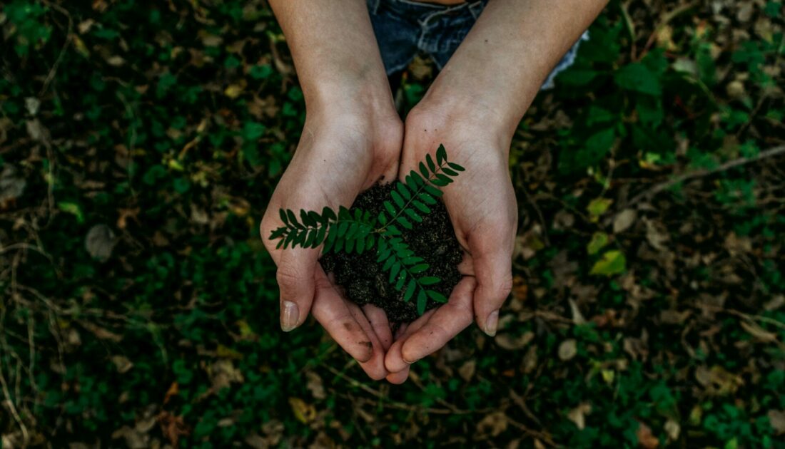 Wildcat Glades Hosting Earth Day/Arbor Day Event