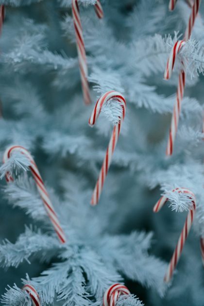 Carthage Candy Cane Hunt
