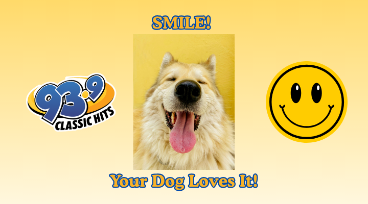 SMILE: Your Dog Loves It