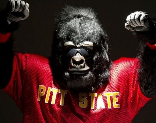 Youth Summer Camps at Pitt State
