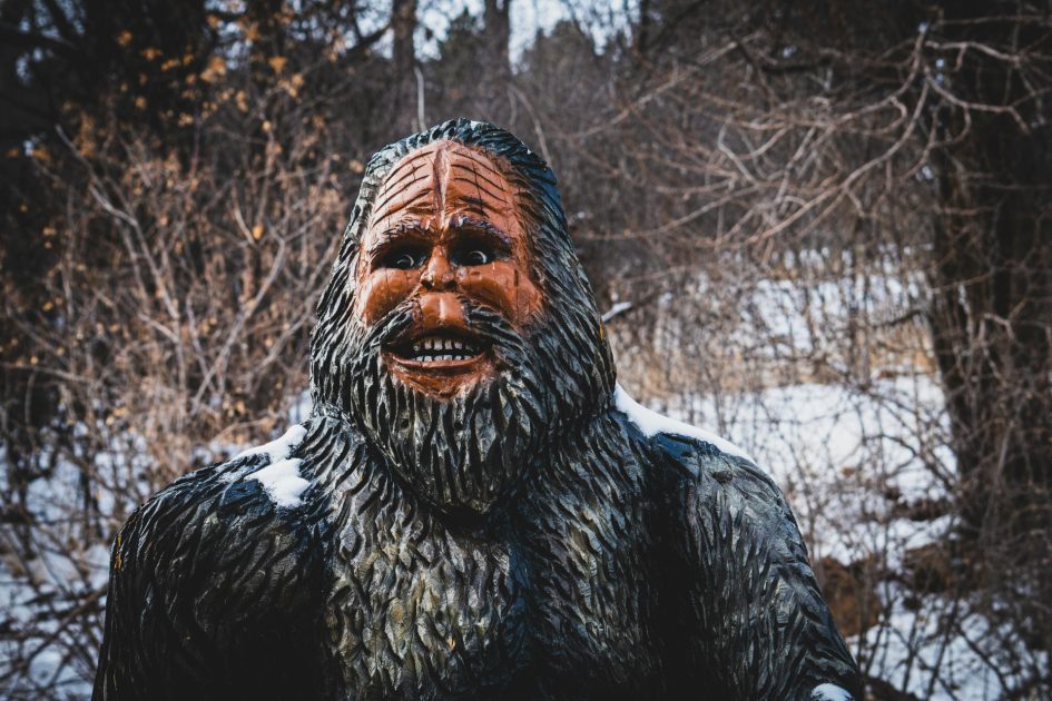 Bigfoot Photobombs The Weather Service