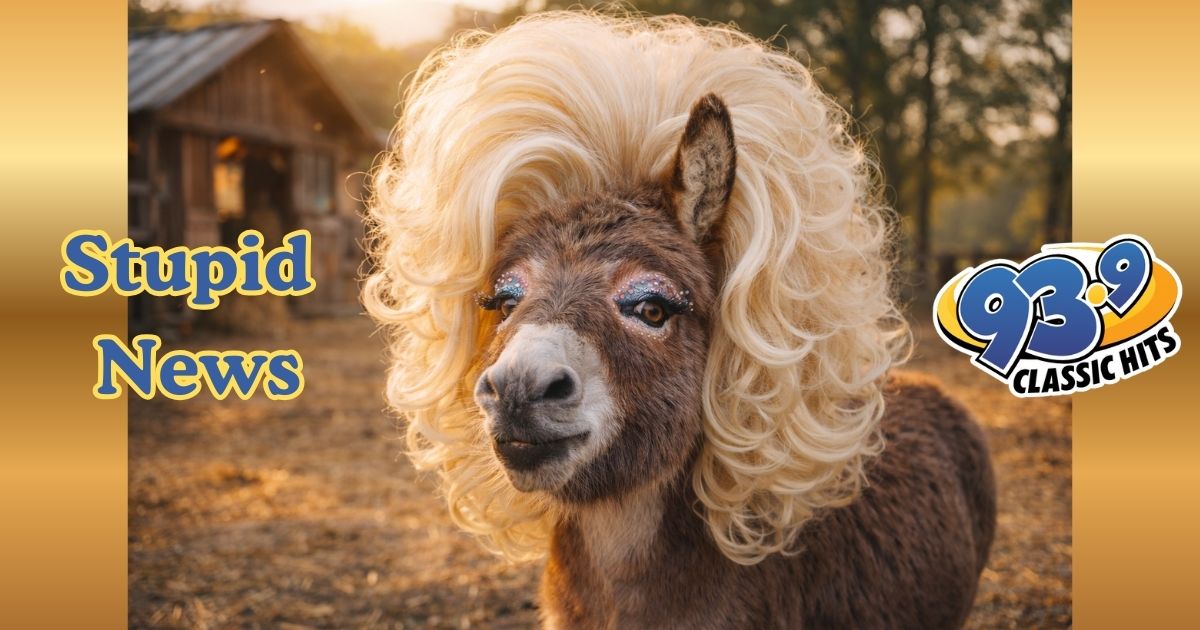 State Troopers Capture Dolly Parton… The Donkey