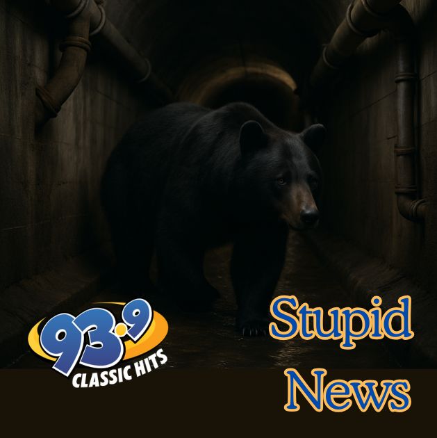 Colorado Sewer Bears