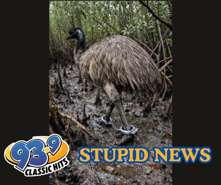 Florida Cop Handcuffs Runaway Emu