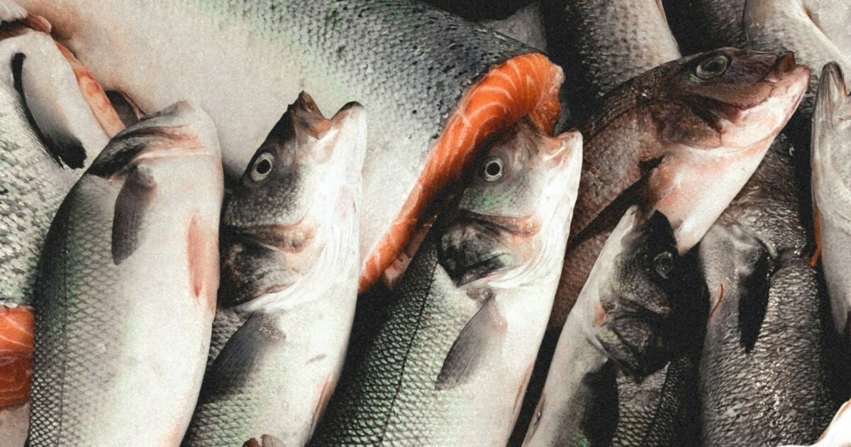 Man Trashes DMV with Fish & Carrots