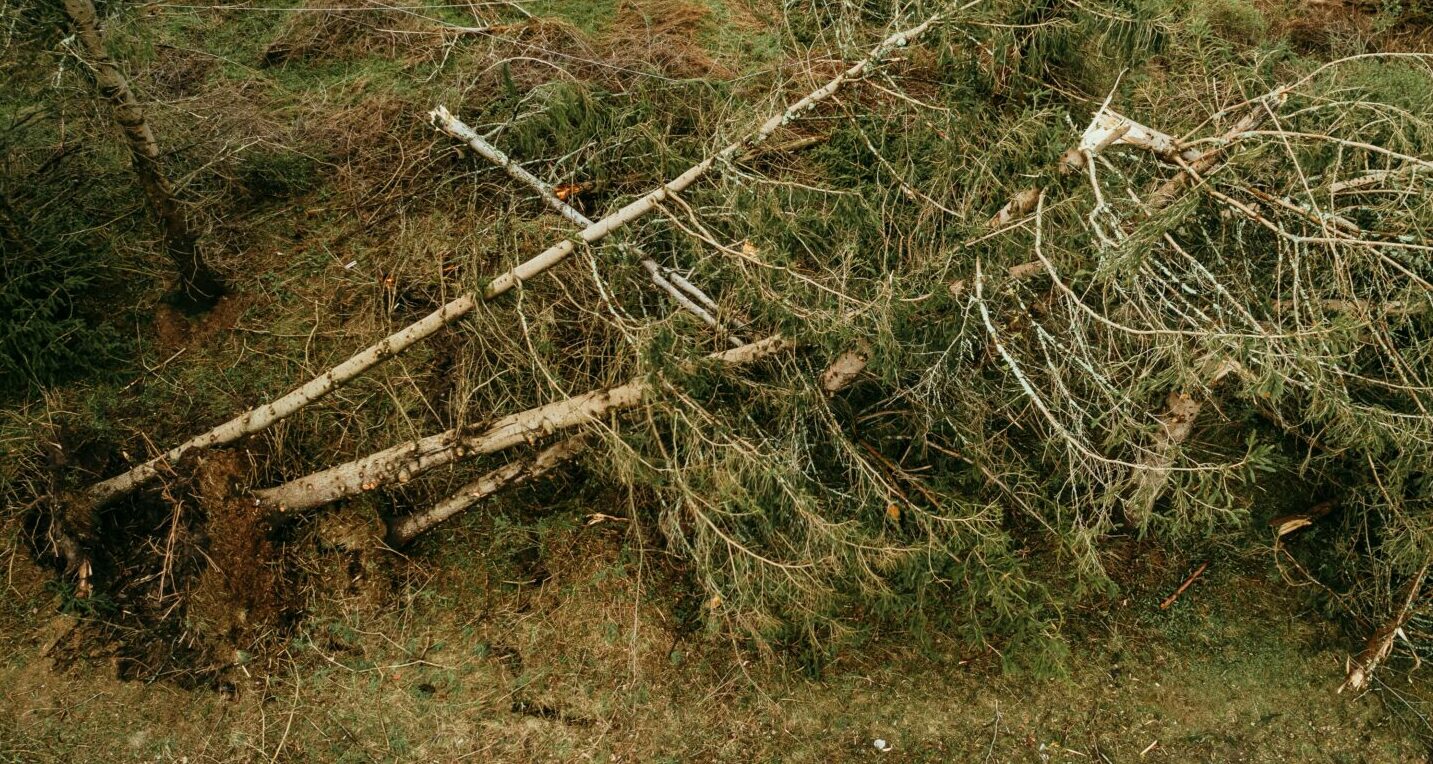 Joplin Curbside Clean-Up Coming