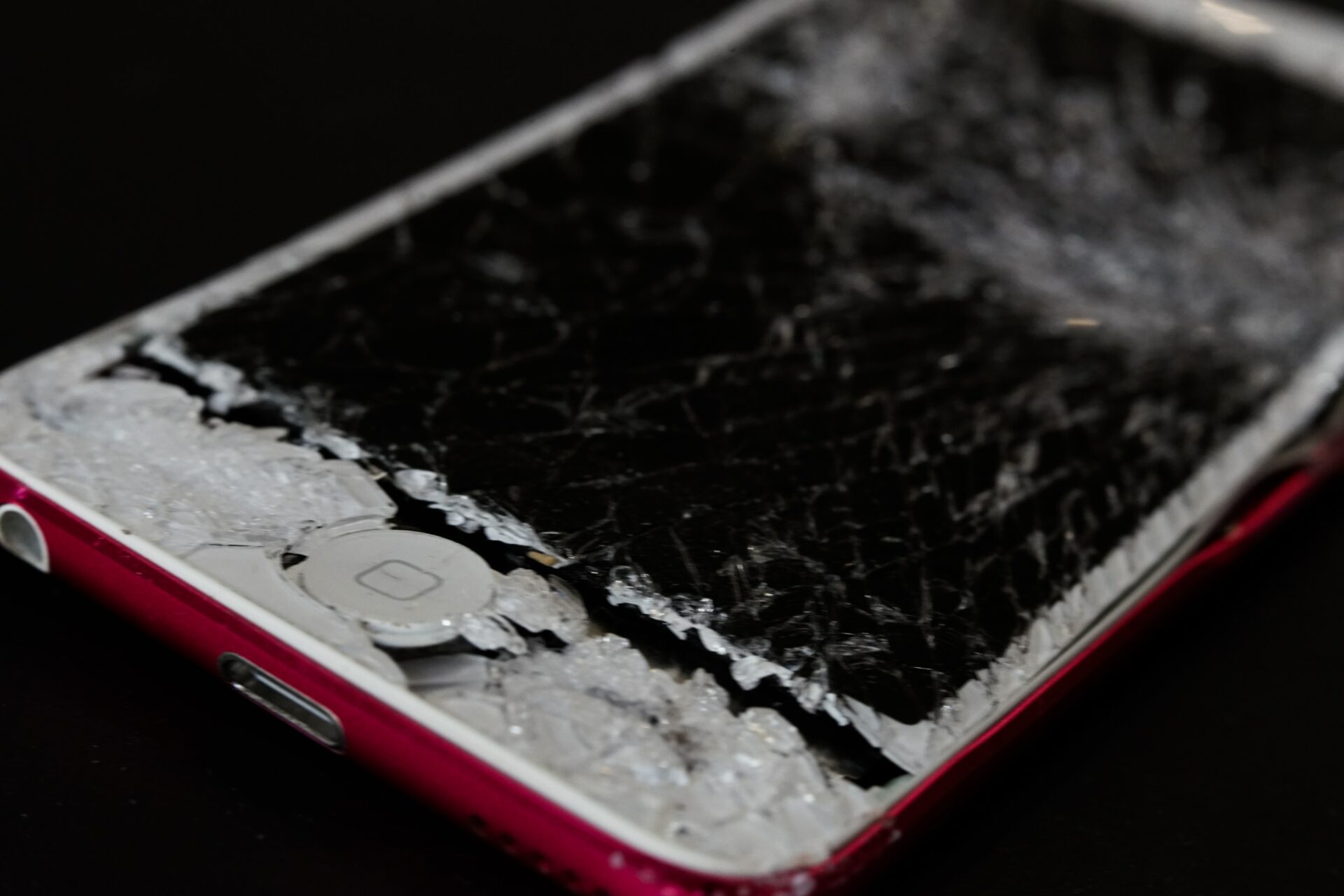 Man Saved From Jungle Cat Attack By Exploding Phone