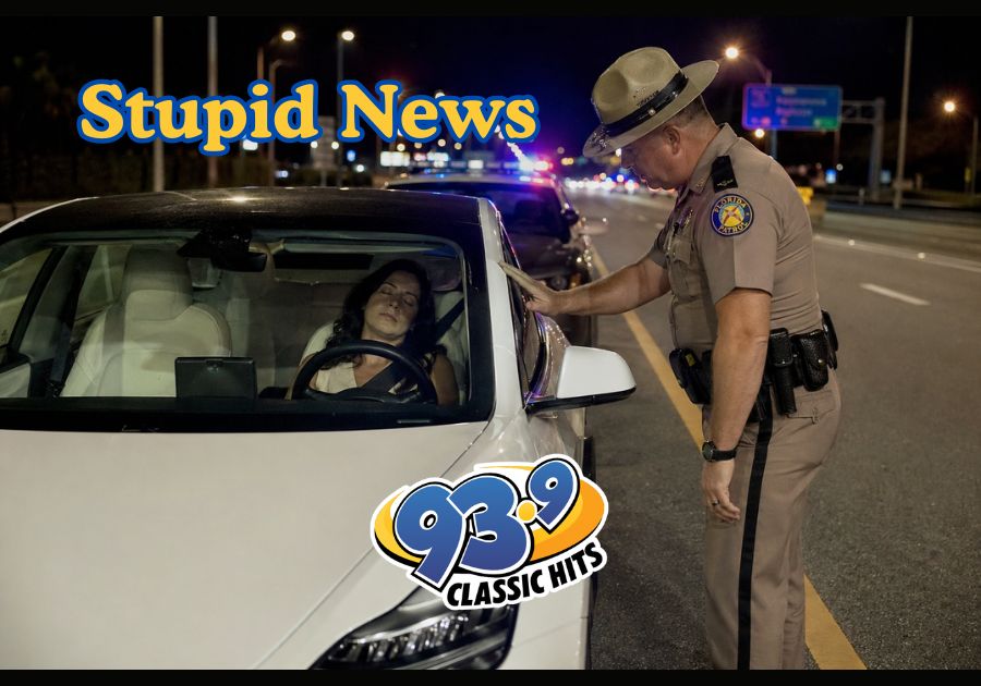 Tesla Pulls Over After DUI Driver Passes Out