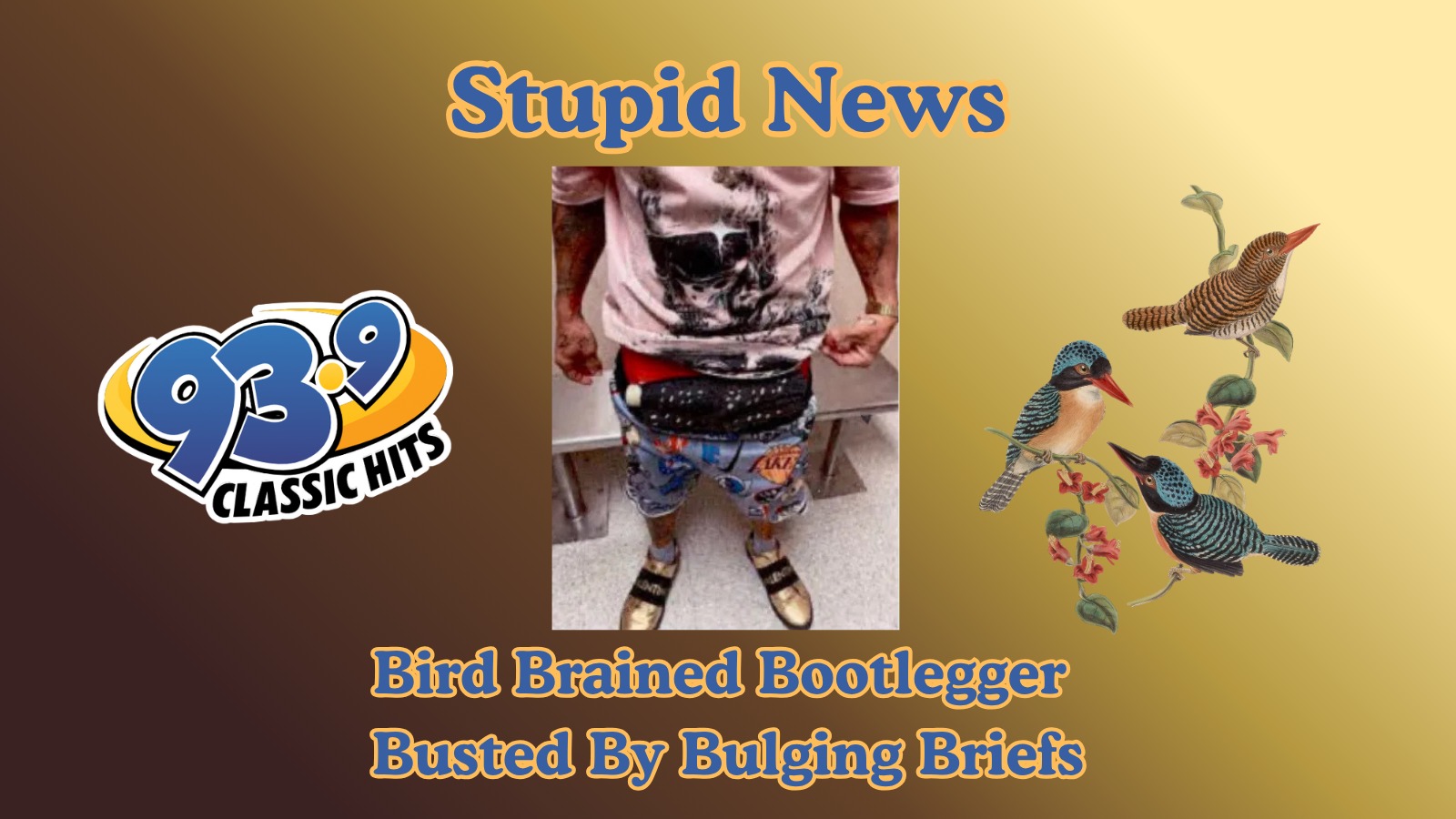 Bird Brained Bootlegger Busted By Bulging Briefs