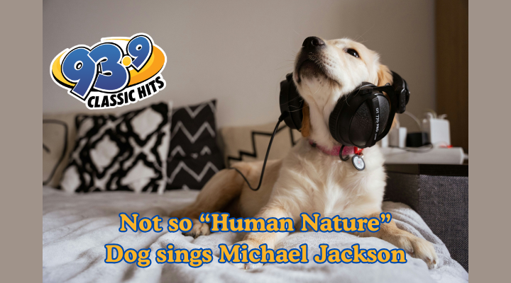 Dog Sings Along To Michael Jackson