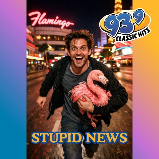 Man Steals Flamingo from Vegas Hotel