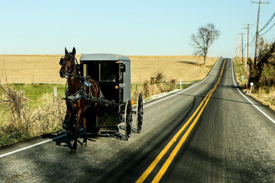 Amish Family Buggyjacked at Walmart