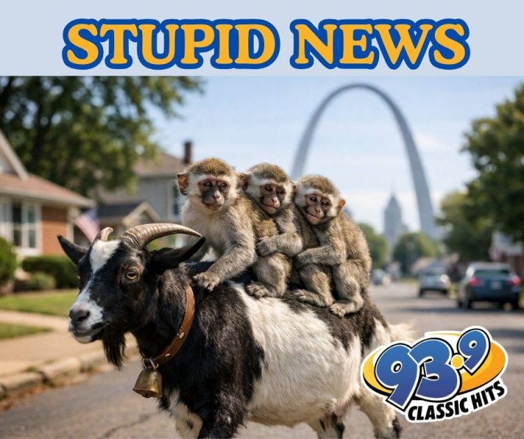 Goat Joins St. Louis Mystery Monkeys