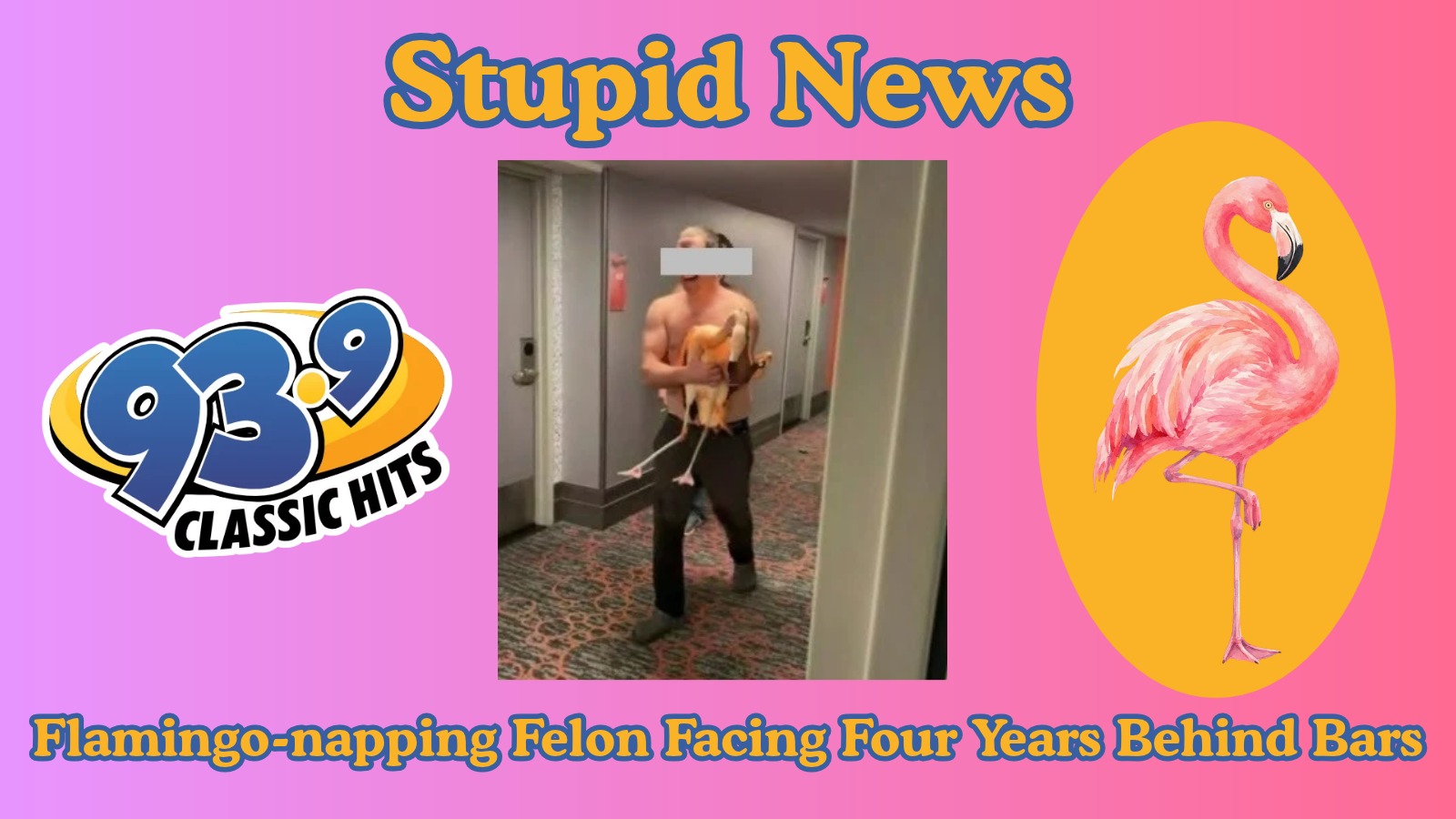 Flamingo-napping Felon Facing Four Years Behind Bars