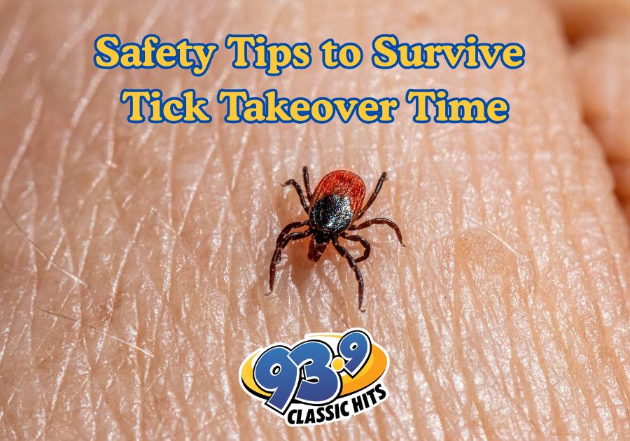 Tick Takeover Time: Safety Tips