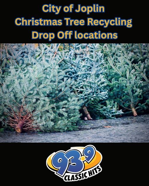 Joplin Live Christmas Tree Dropoff