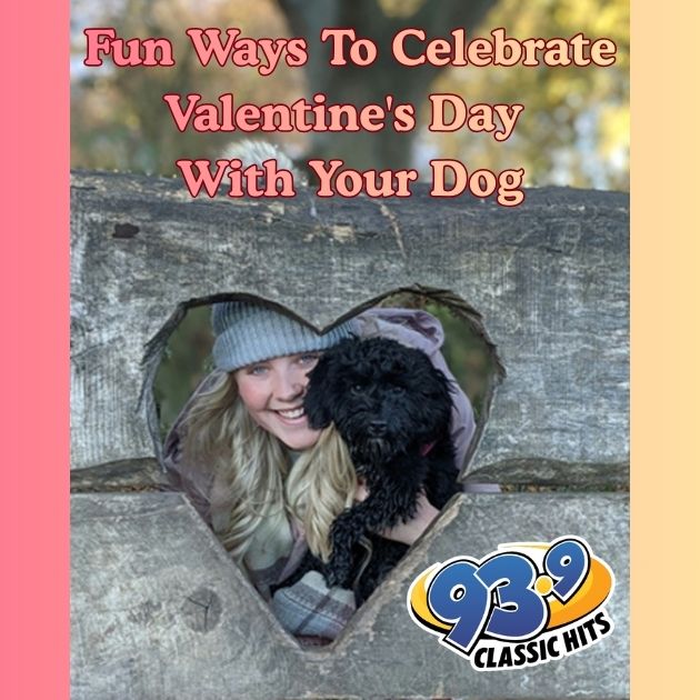 Fun Ways To Celebrate Valentine’s Day With Your Dog