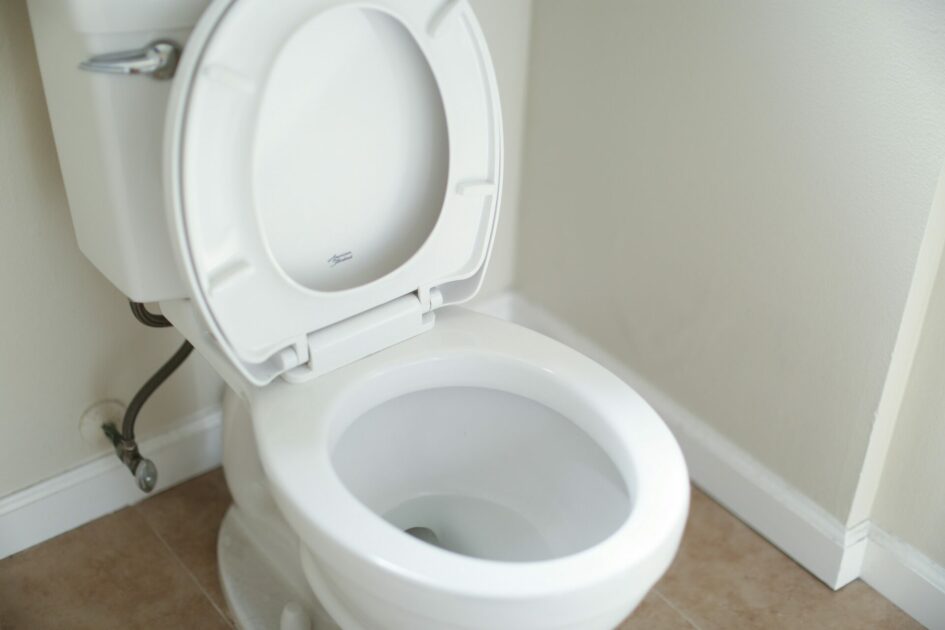 Your Bathroom Stink? Try Garlic.