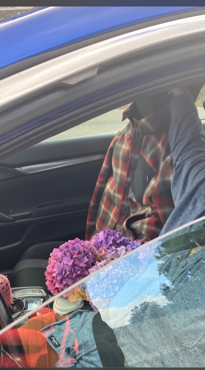 Guy Puts Plaid Shirt On Passenger Seat In HOV Lane