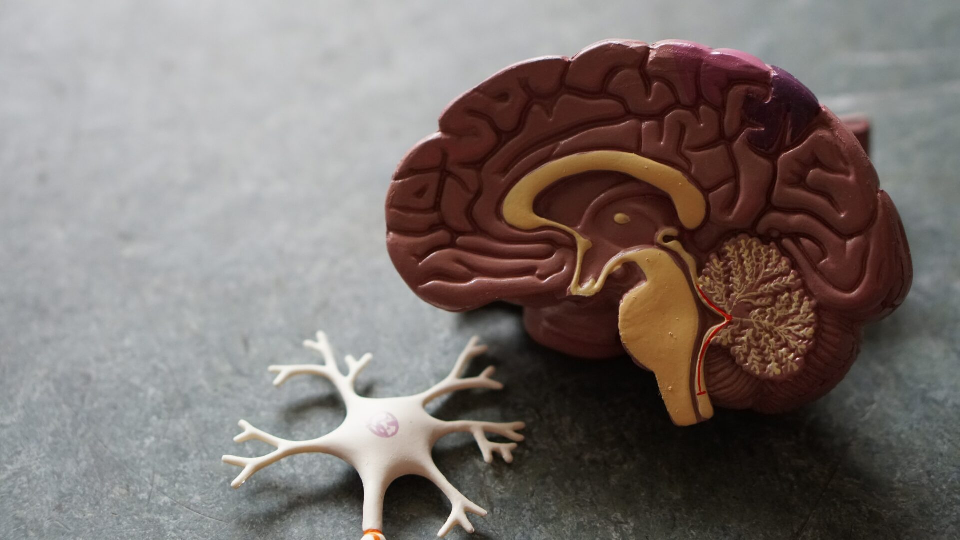 Film about dementia, Q & A session planned at PSU