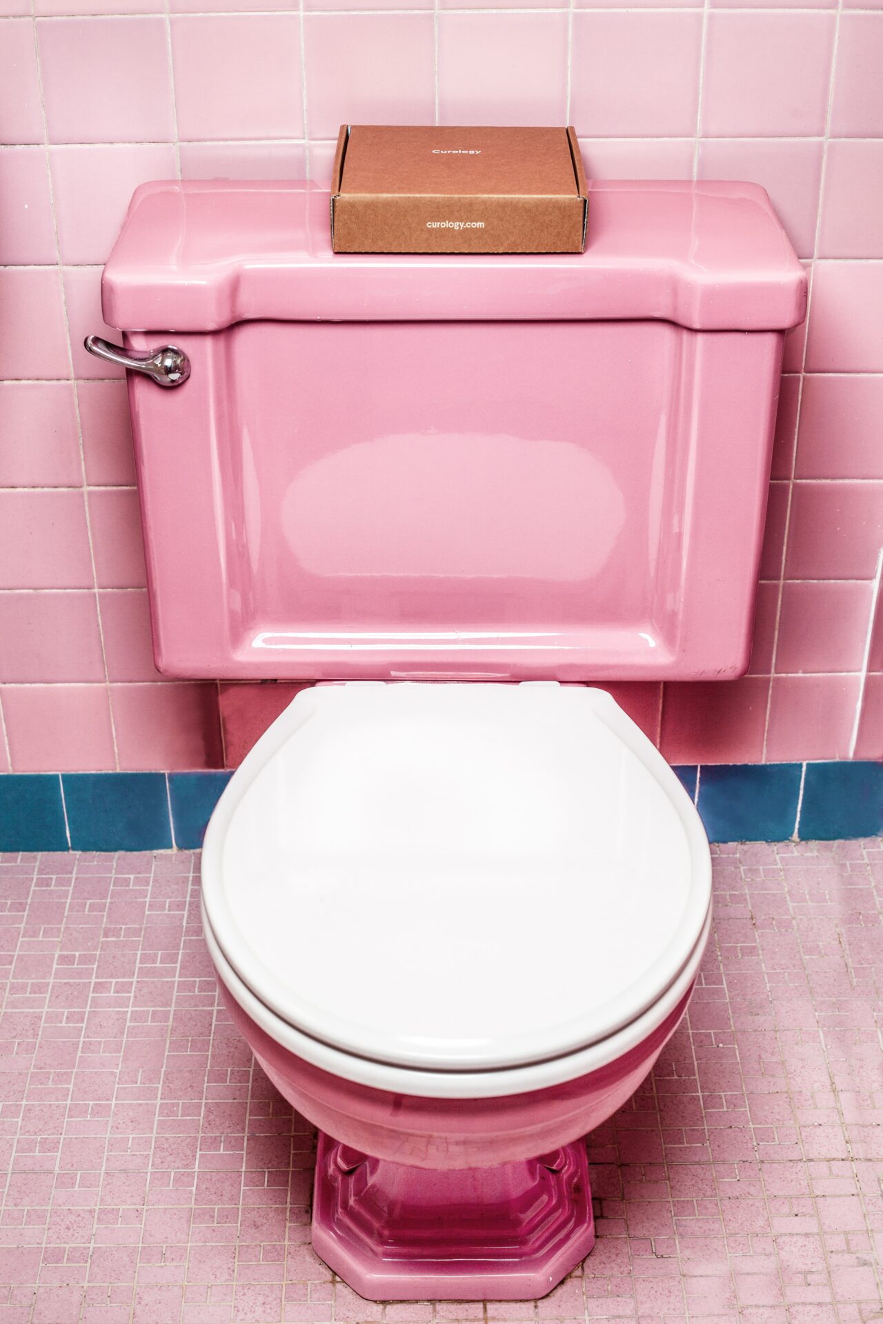 Five Women Arrested for Clogging A Toilet