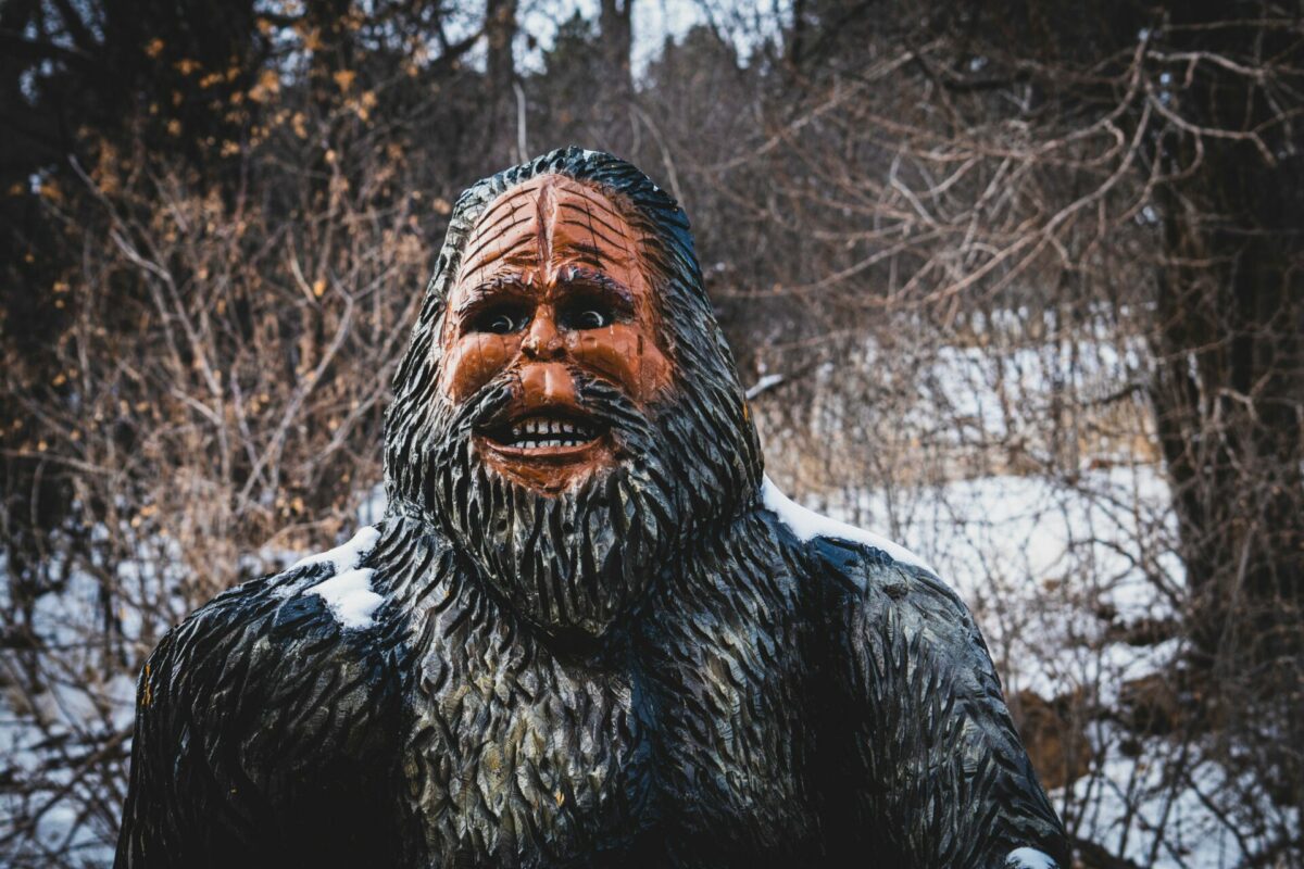 Bigfoot Spotted in Colorado pooping